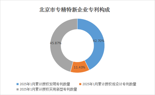 北京市專精特新企業(yè)月度發(fā)展報(bào)告（2025年1月）